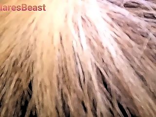 Man sex female horse