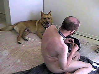 Gay porn animals - norwegian man fucked by dog